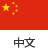 Chinese Flag with chinese language label